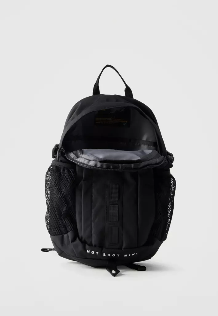 Рюкзак The North Face Hot Shot SE black
