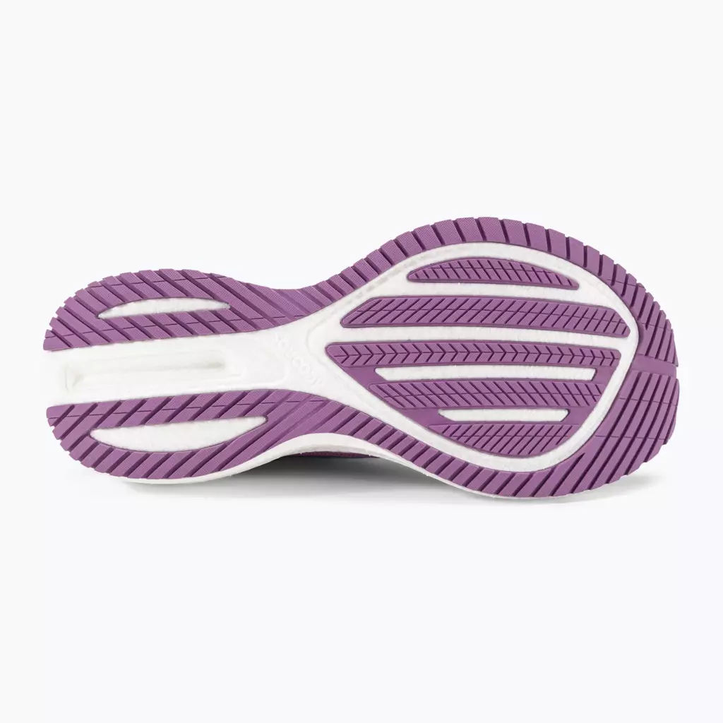 Женские Кроссовки для бега Saucony Triumph 21 grape/indigo