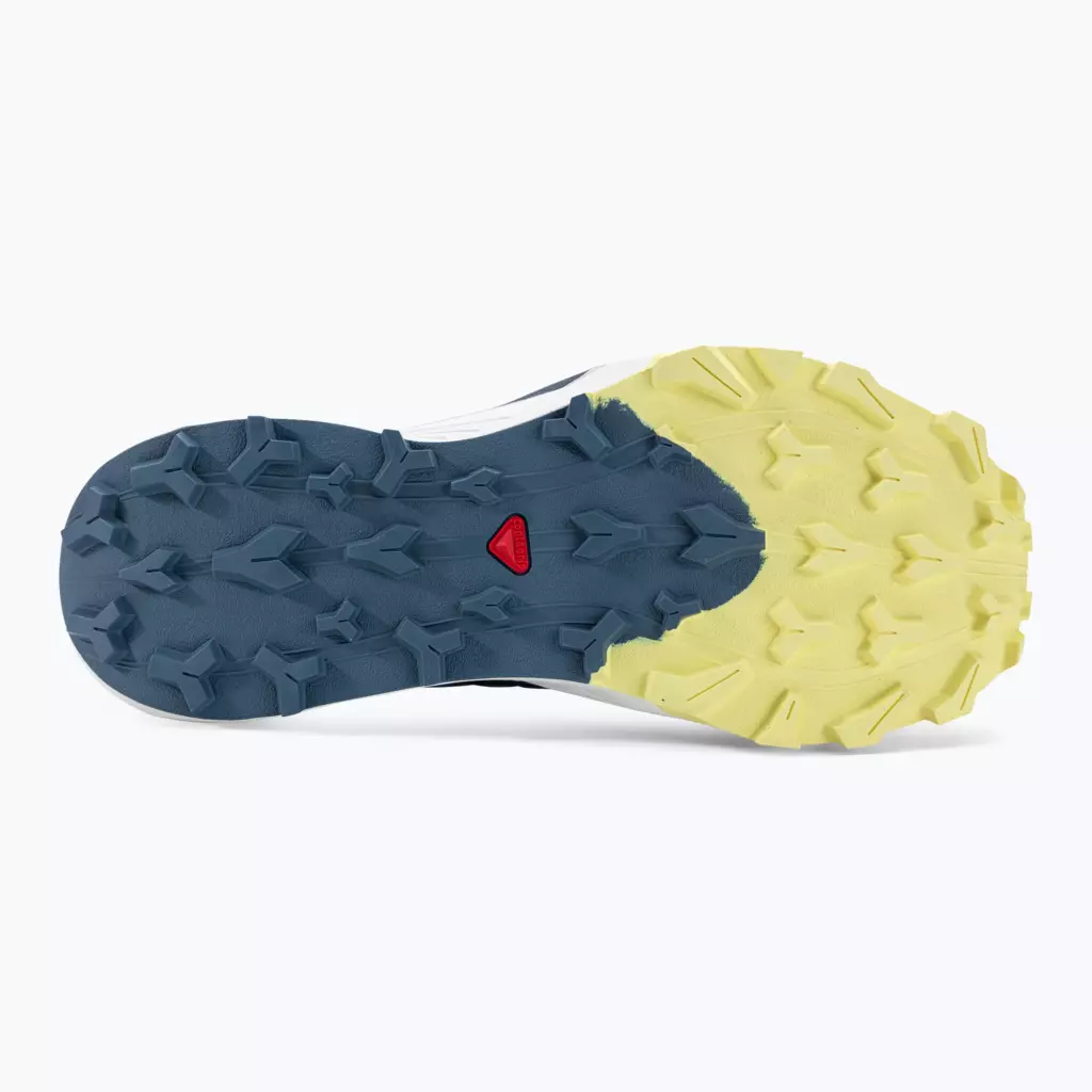 Женские Кроссовки для бега Salomon Thundercross heather/flint stone/charlock