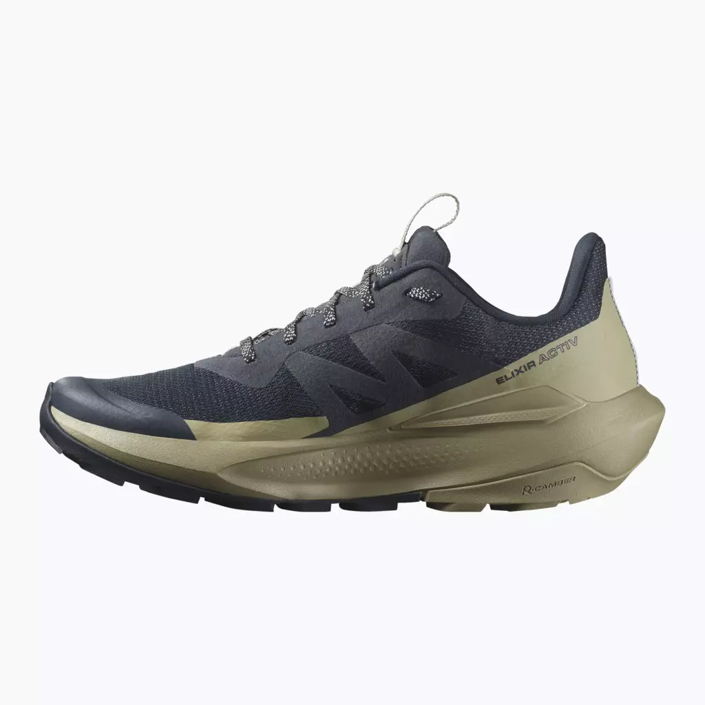 Кроссовки Salomon Elixir Activ carbon/slate green/glacier
