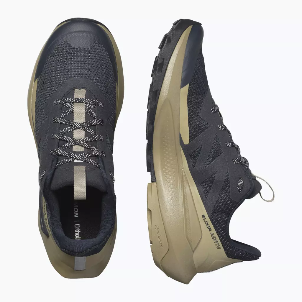 Кроссовки Salomon Elixir Activ carbon/slate green/glacier