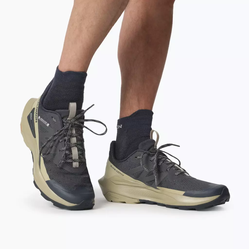 Кроссовки Salomon Elixir Activ carbon/slate green/glacier