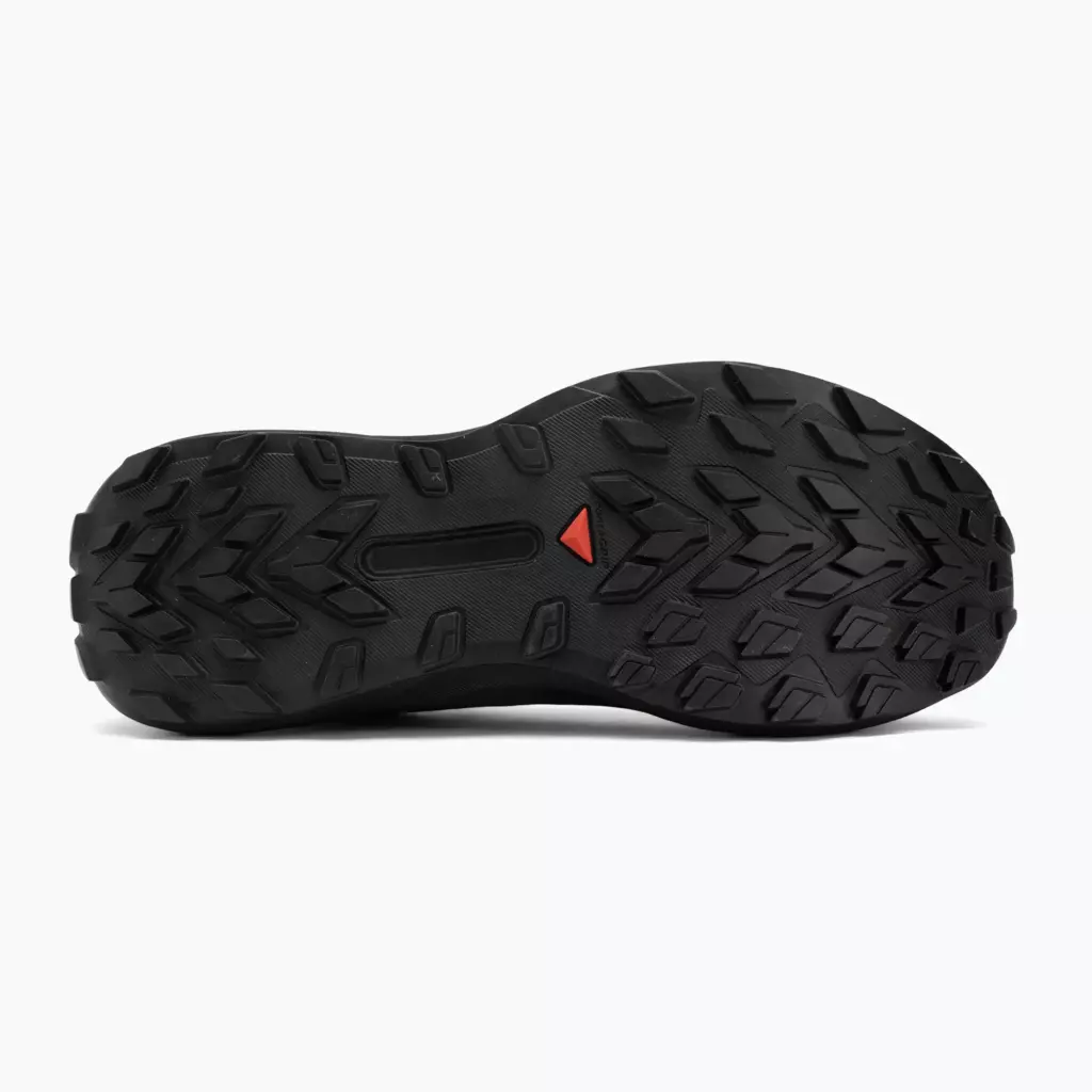 Кроссовки для бега Salomon Genesis GTX black/agave green/urban chic