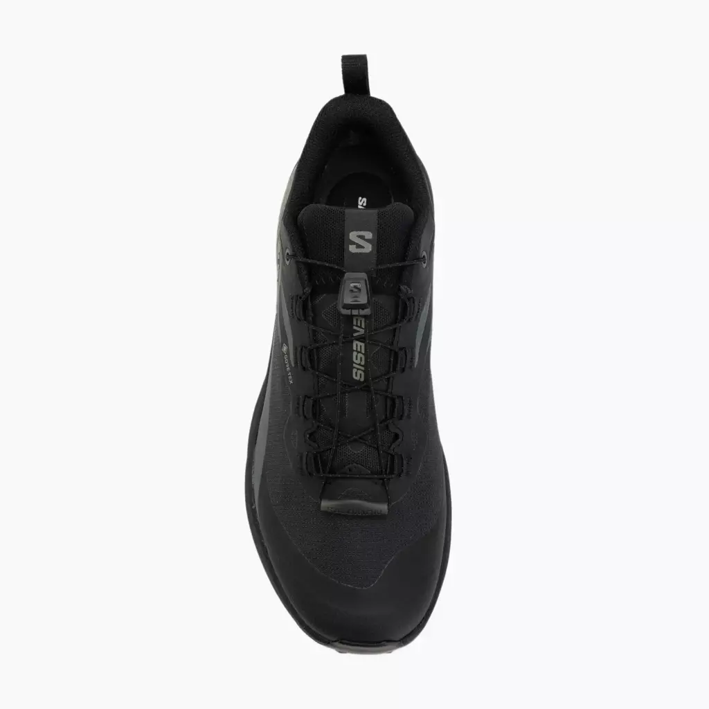 Кроссовки для бега Salomon Genesis GTX black/agave green/urban chic