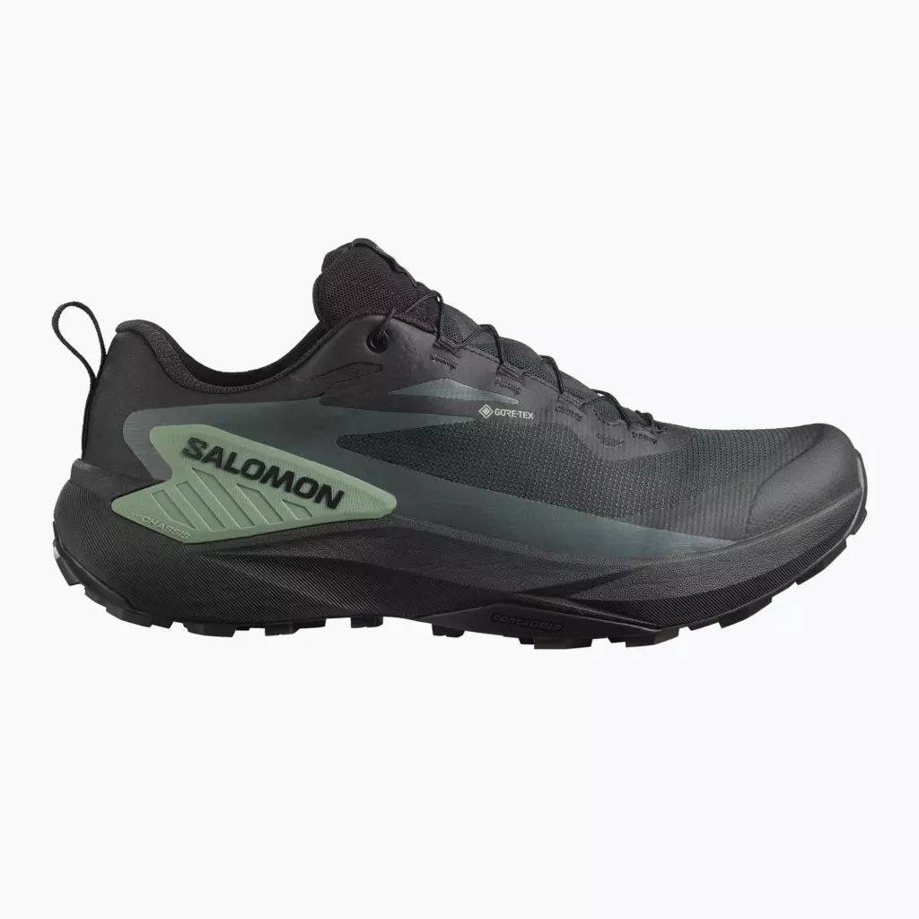 Кроссовки для бега Salomon Genesis GTX black/agave green/urban chic