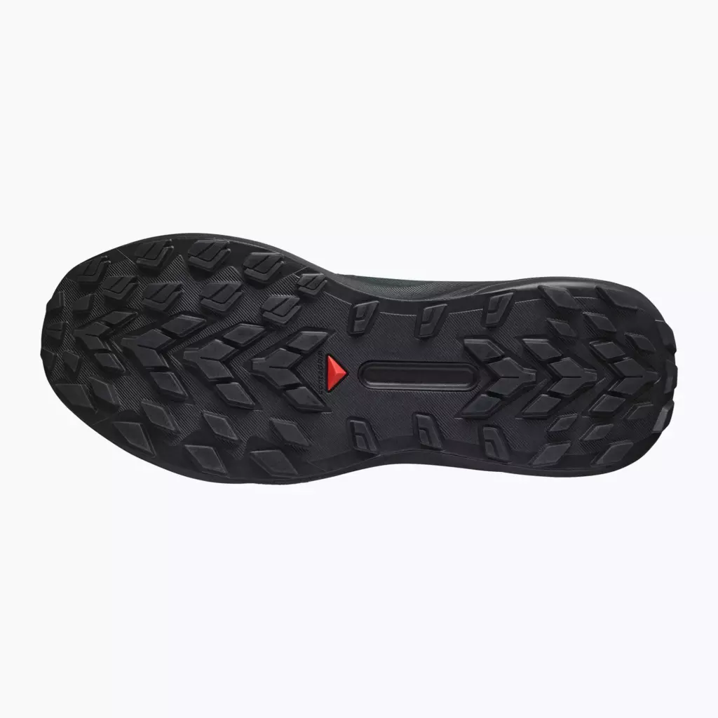 Кроссовки для бега Salomon Genesis GTX black/agave green/urban chic
