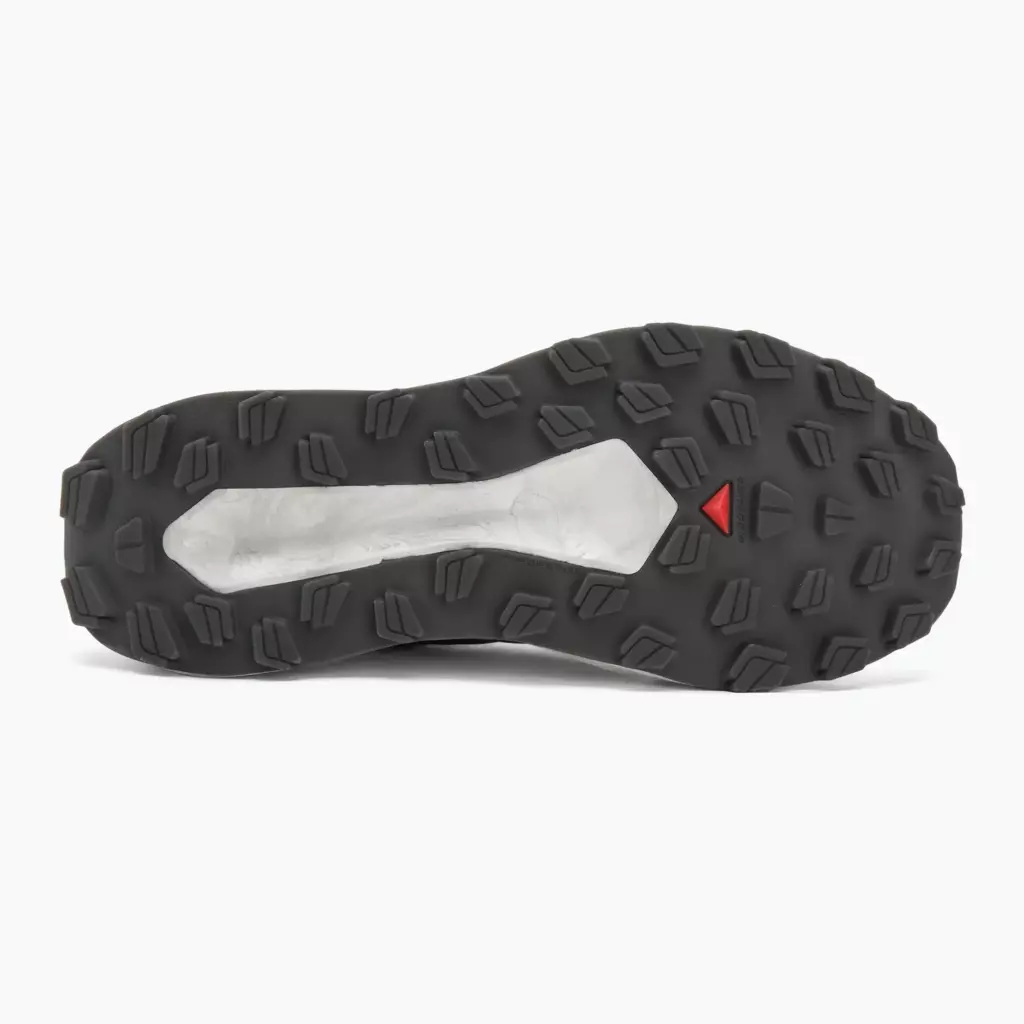 Кроссовки для бега Salomon Vision vanilla ice/lunar/rock/black