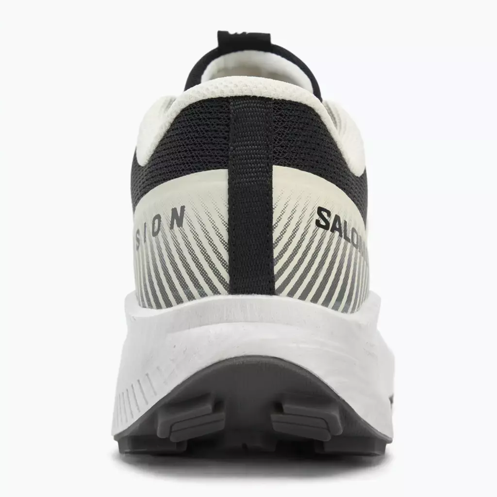 Кроссовки для бега Salomon Vision vanilla ice/lunar/rock/black