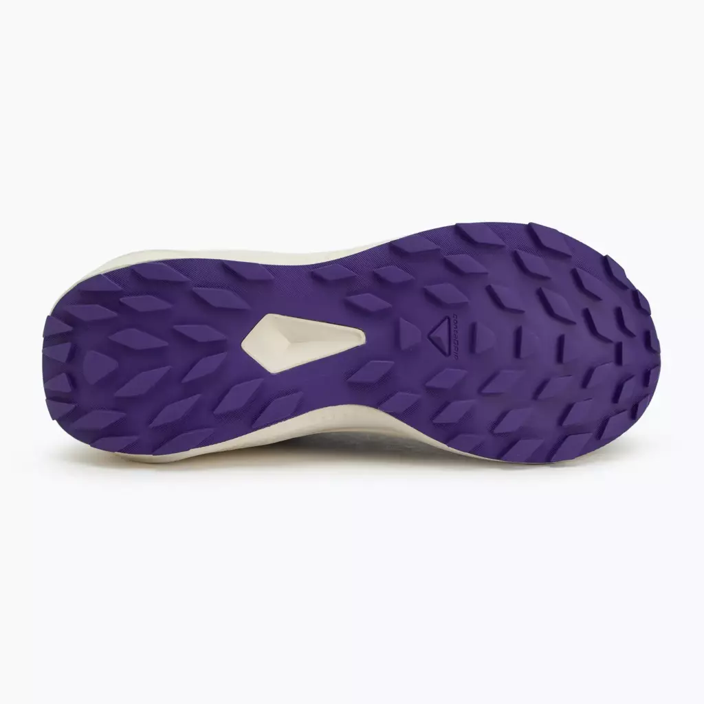 Женские Кроссовки для бега Salomon Alphaglide phantom/vanilla ice/liberty
