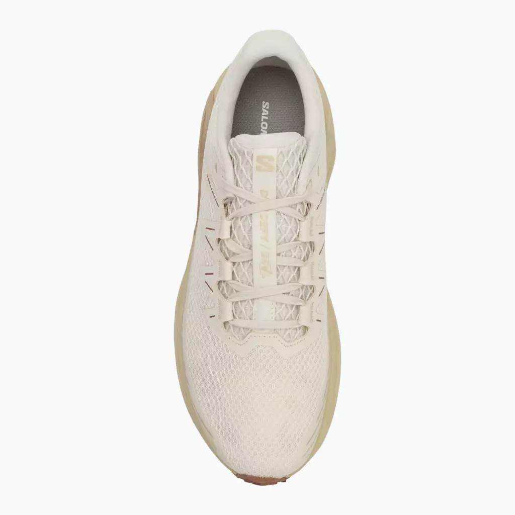 Кроссовки для бега Salomon Drx Defy GRVL vanilla ice/green haze/white pepper