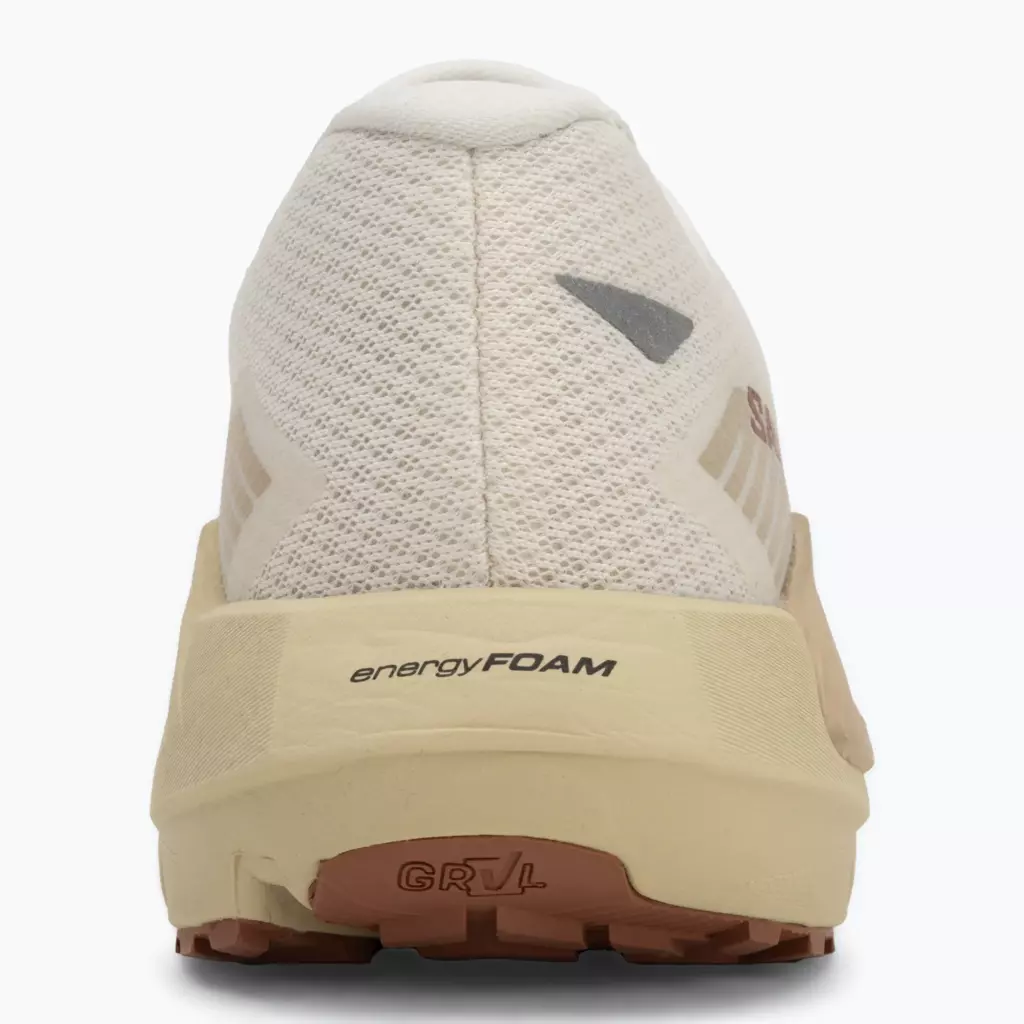 Кроссовки для бега Salomon Drx Defy GRVL vanilla ice/green haze/white pepper