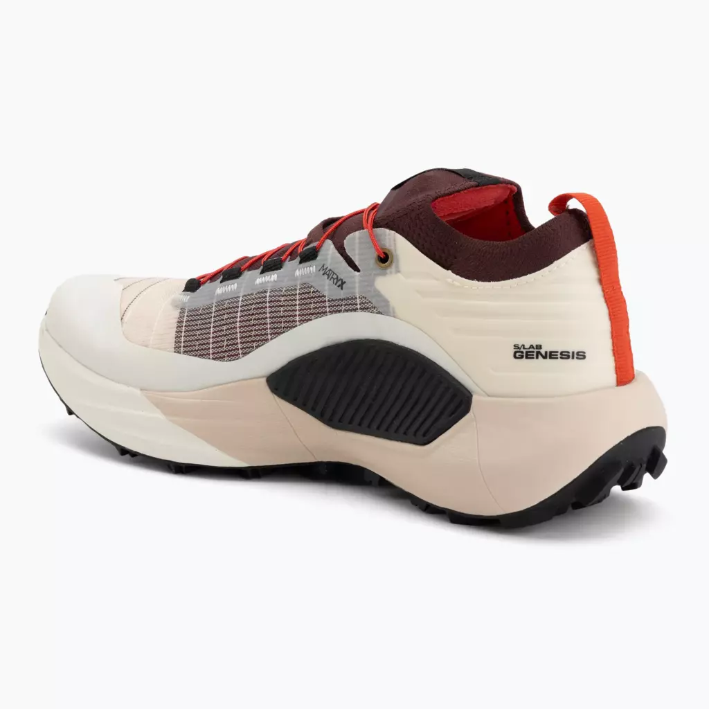 Кроссовки для бега Salomon S/LAB Genesis vanila ice/chocolate/black