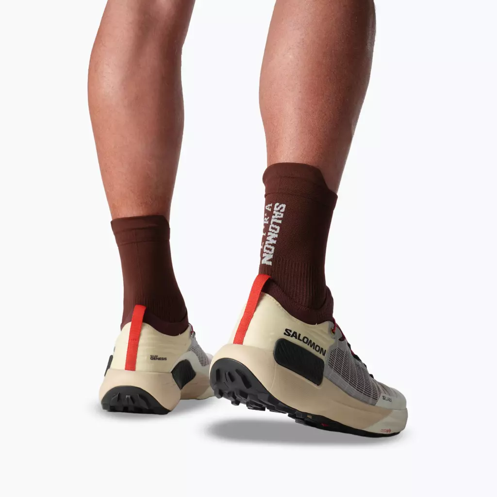 Кроссовки для бега Salomon S/LAB Genesis vanila ice/chocolate/black