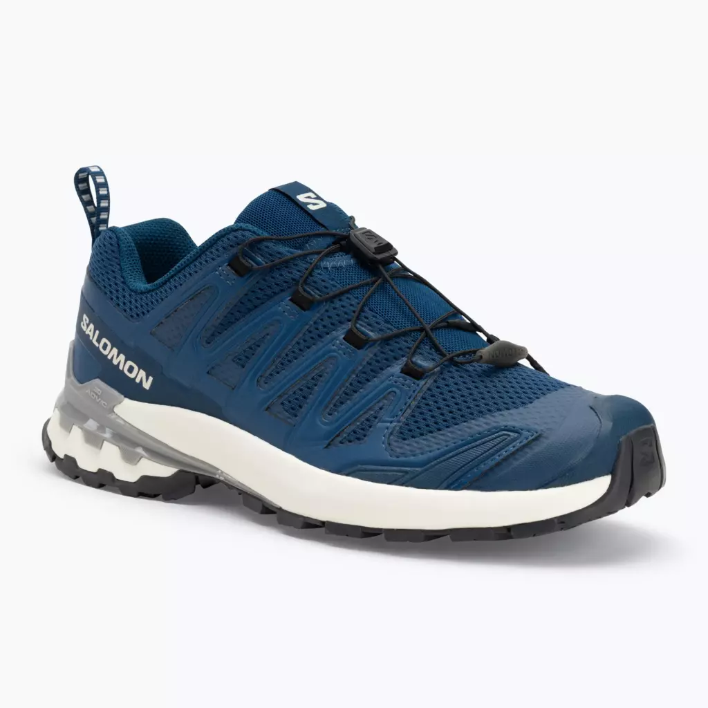Кроссовки для бега Salomon XA Pro 3D V9 poseidon/icicle/alloy