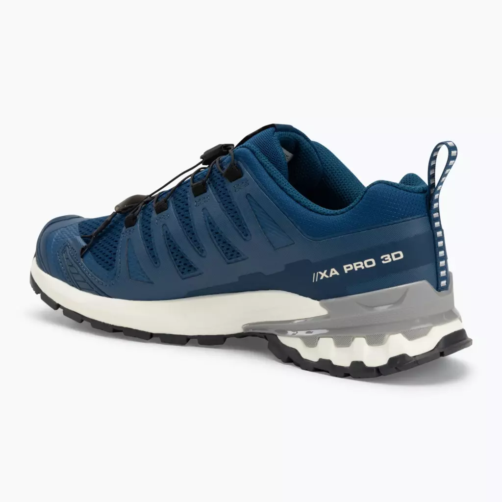 Кроссовки для бега Salomon XA Pro 3D V9 poseidon/icicle/alloy