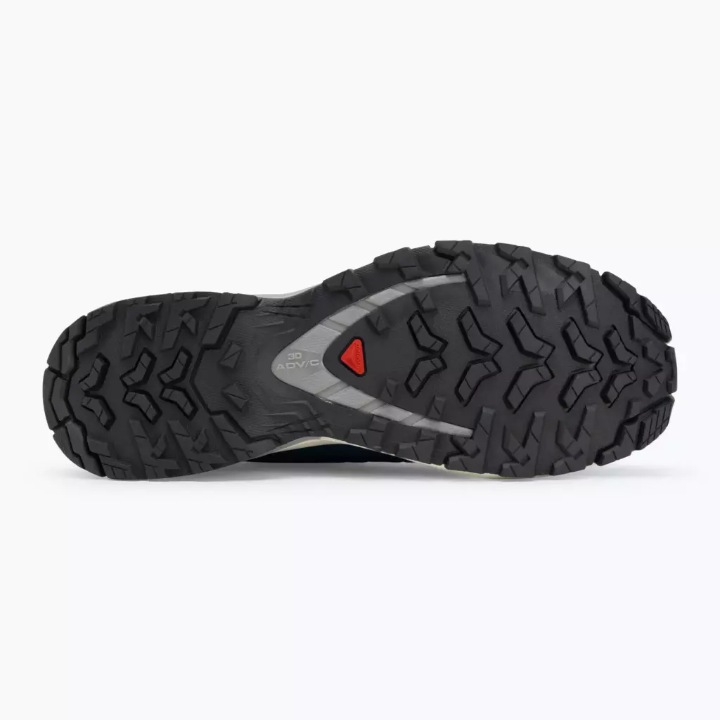 Кроссовки для бега Salomon XA Pro 3D V9 poseidon/icicle/alloy