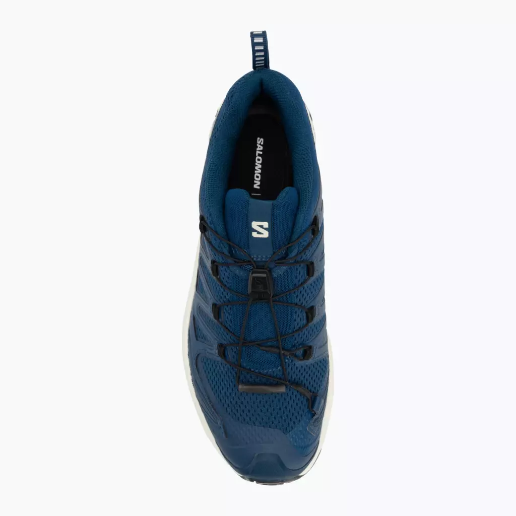 Кроссовки для бега Salomon XA Pro 3D V9 poseidon/icicle/alloy