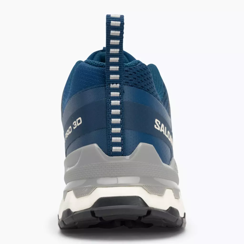 Кроссовки для бега Salomon XA Pro 3D V9 poseidon/icicle/alloy
