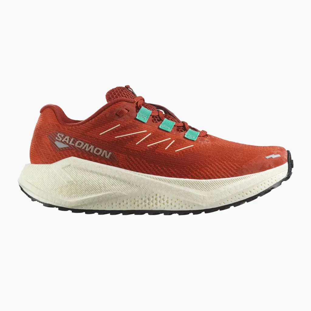 Женские Кроссовки для бега Salomon Aero Blaze 3 GRVL burnt ochre/vanilla ice