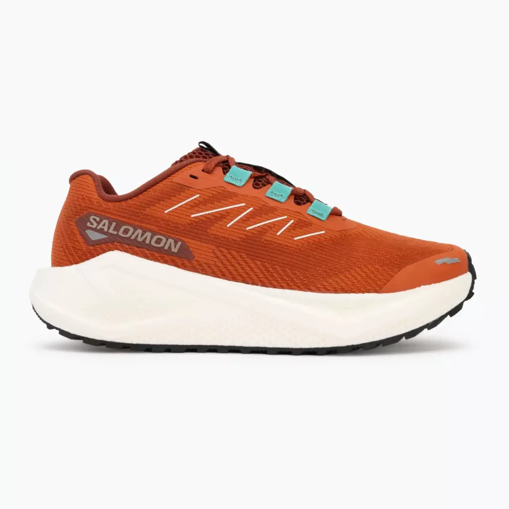 Женские Кроссовки для бега Salomon Aero Blaze 3 GRVL burnt ochre/vanilla ice