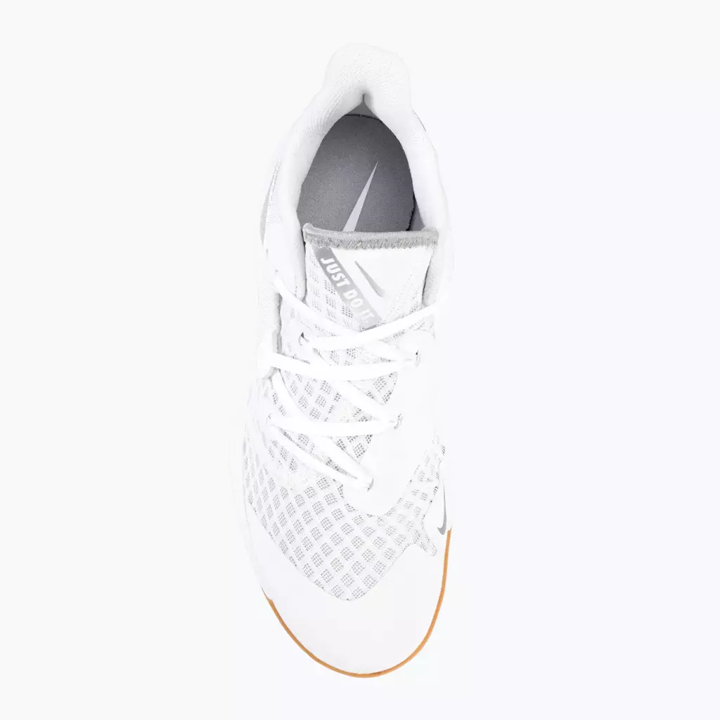 Кроссовки волейбольные Nike Zoom Hyperspeed Court SE white/metalic silver gum