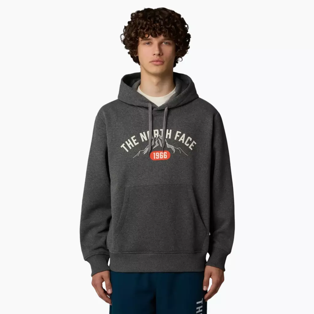 Худи The North Face Varsity Graphic серая