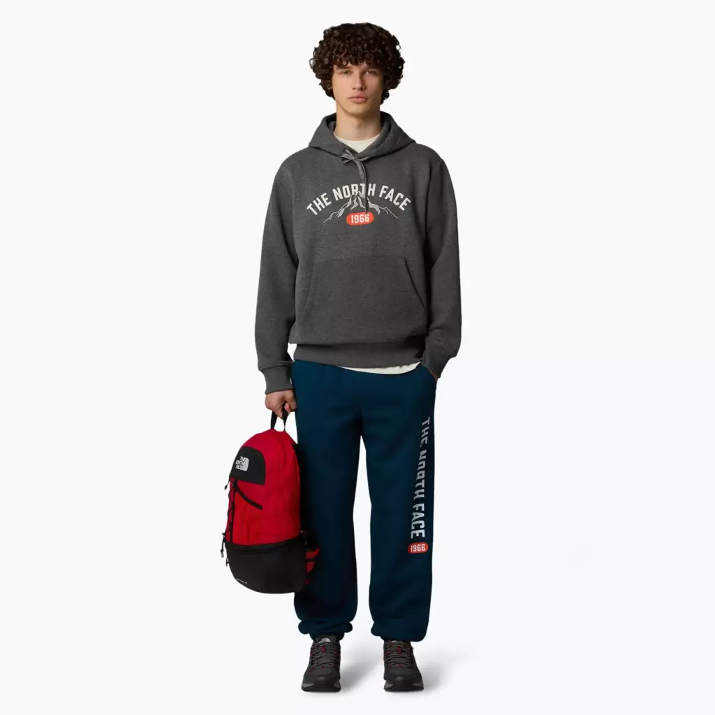 Худи The North Face Varsity Graphic серая