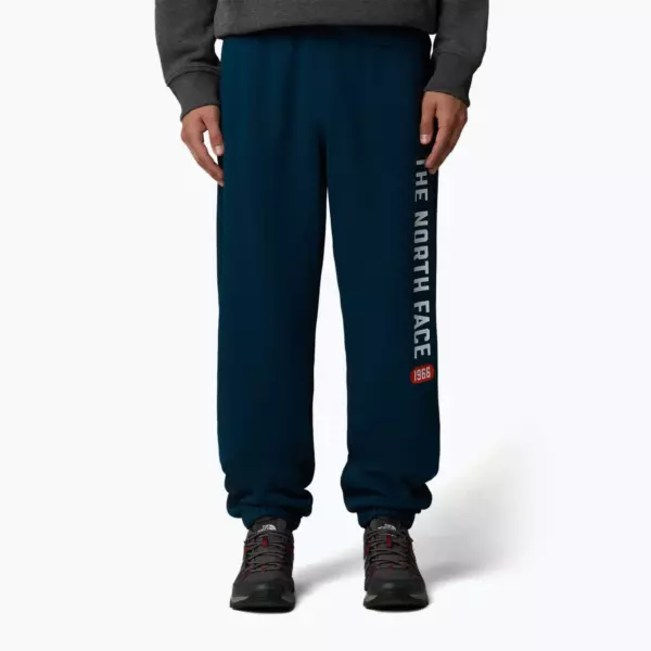 Штаны The North Face Varsity Graphic midnight petrol