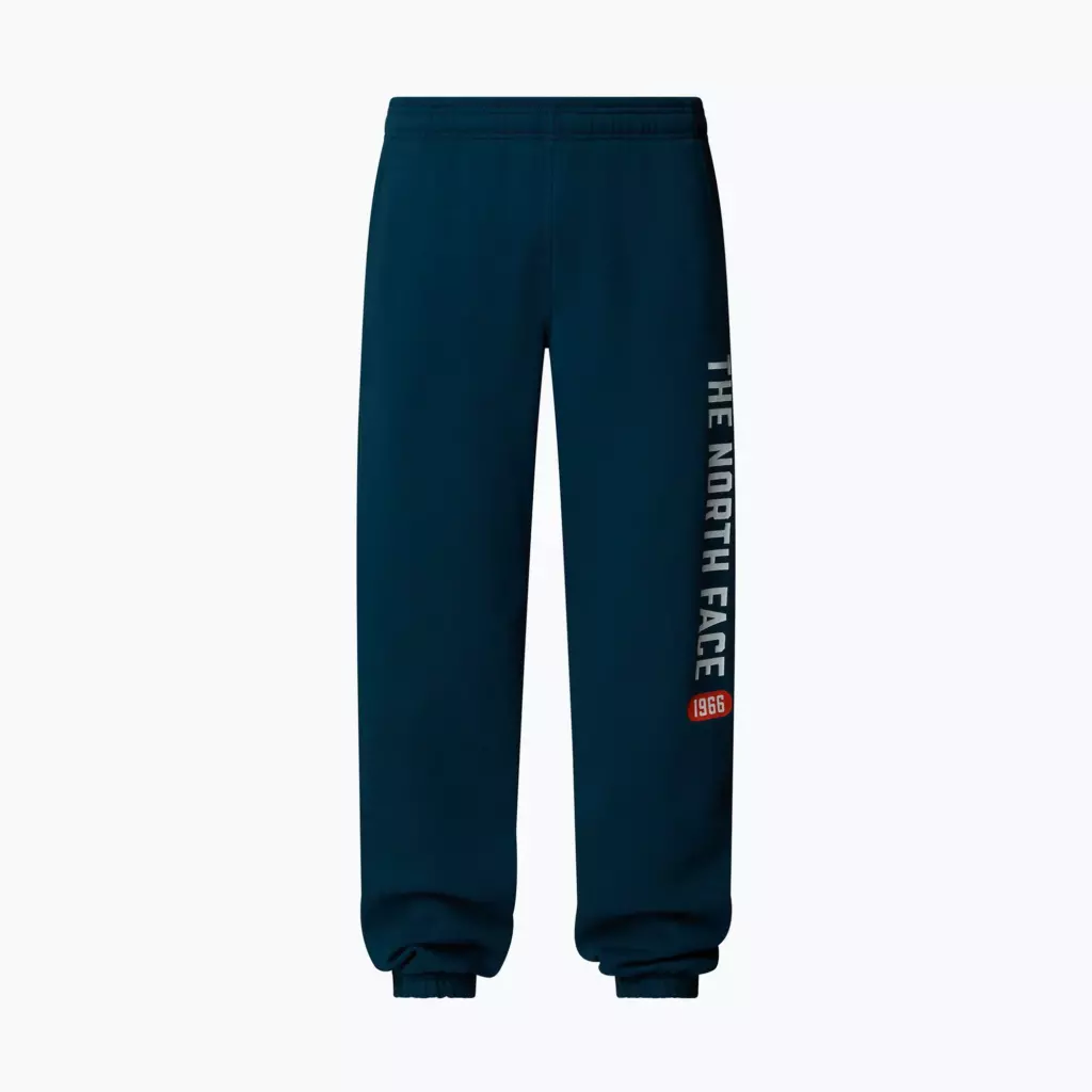 Штаны The North Face Varsity Graphic midnight petrol