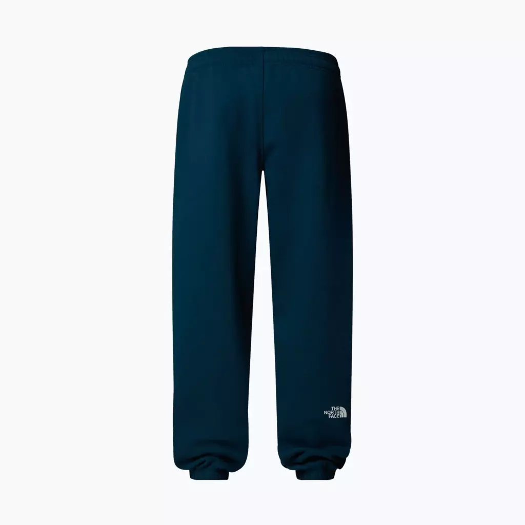 Штаны The North Face Varsity Graphic midnight petrol
