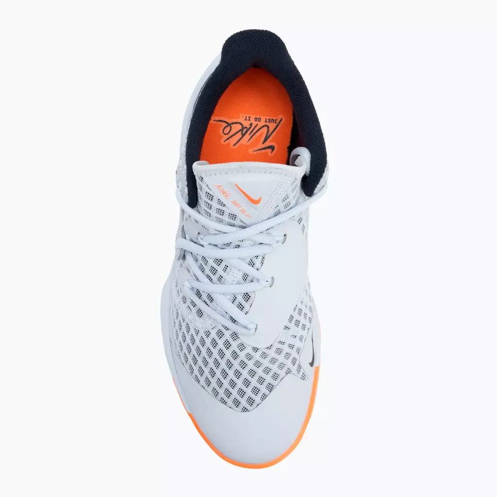 Кроссовки волейбольные NIKE Zoom Hyperspeed Court SE multi color/multi color
