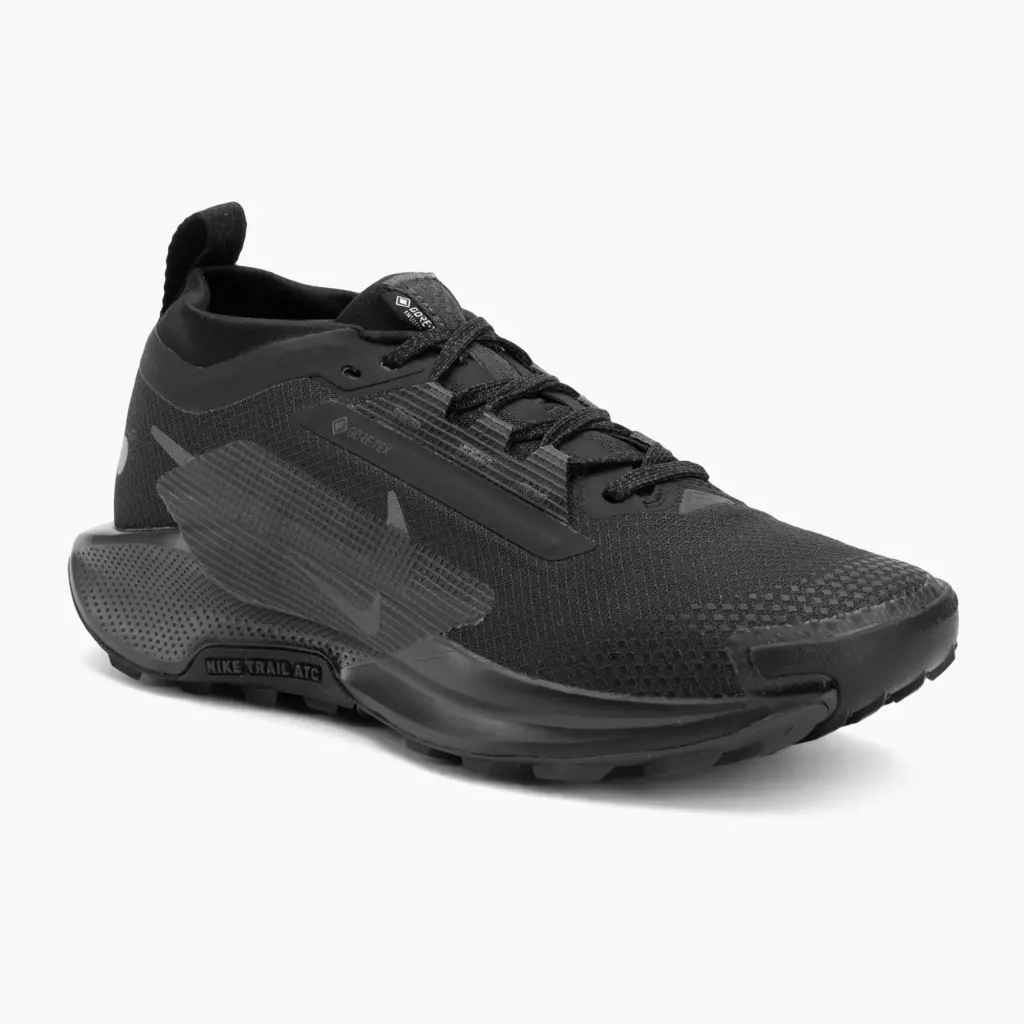 Женские Кроссовки для бега Nike Pegasus Trail 5 GTX black/anthracite/black
