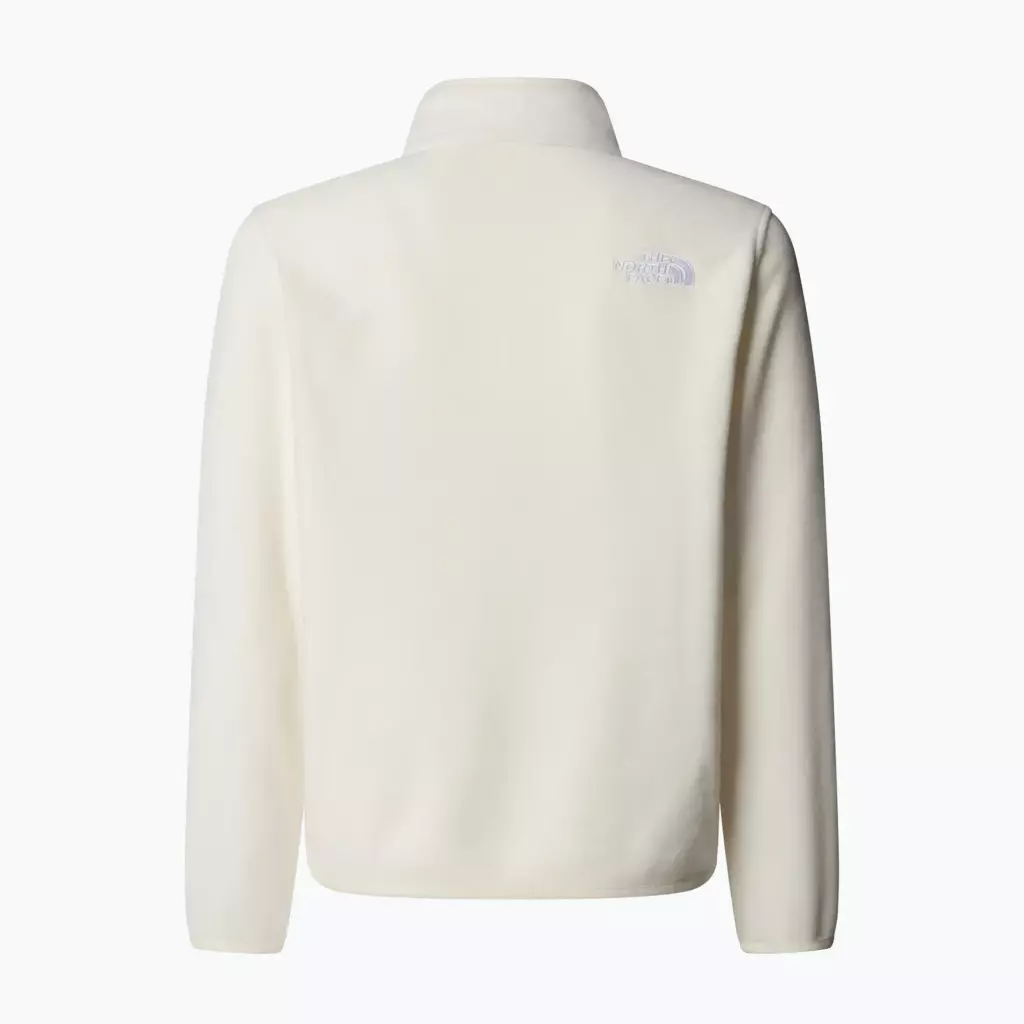Детская флисовая кофта The North Face Teen Glacier 1/4 Zip бежевая