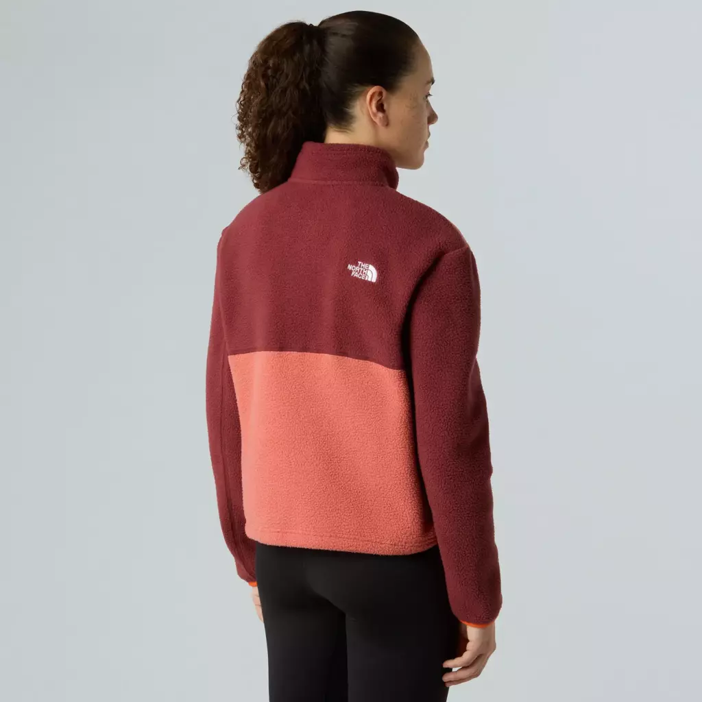 Женская юмиори с застежкой-молнией 1/4 The North Face mars dust/sumac/solar flare