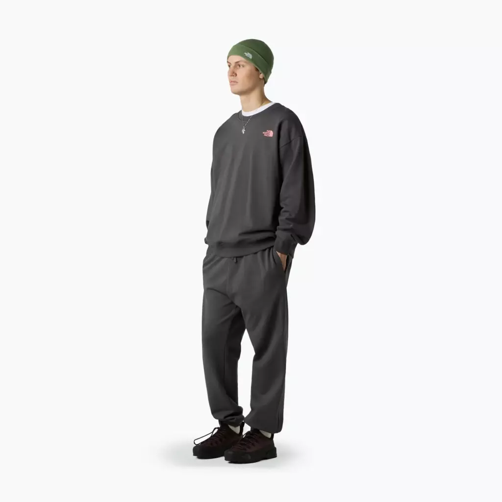 Штаны The North Face Expedition Celebration Relaxed Jogger Reg серые