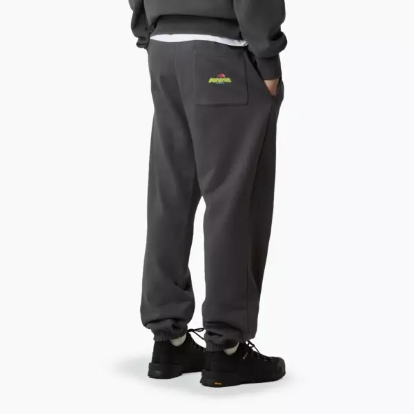 Штаны The North Face Expedition Celebration Relaxed Jogger Reg серые