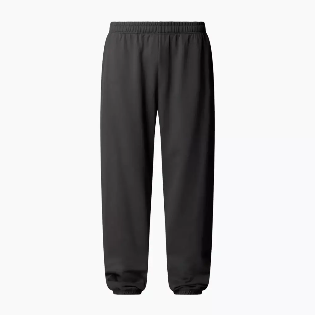 Штаны The North Face Expedition Celebration Relaxed Jogger Reg серые