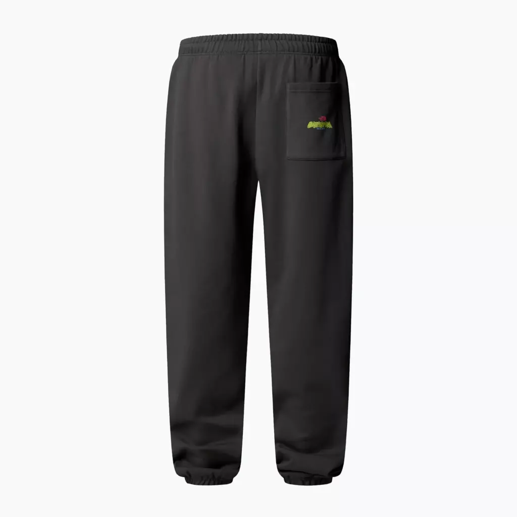 Штаны The North Face Expedition Celebration Relaxed Jogger Reg серые