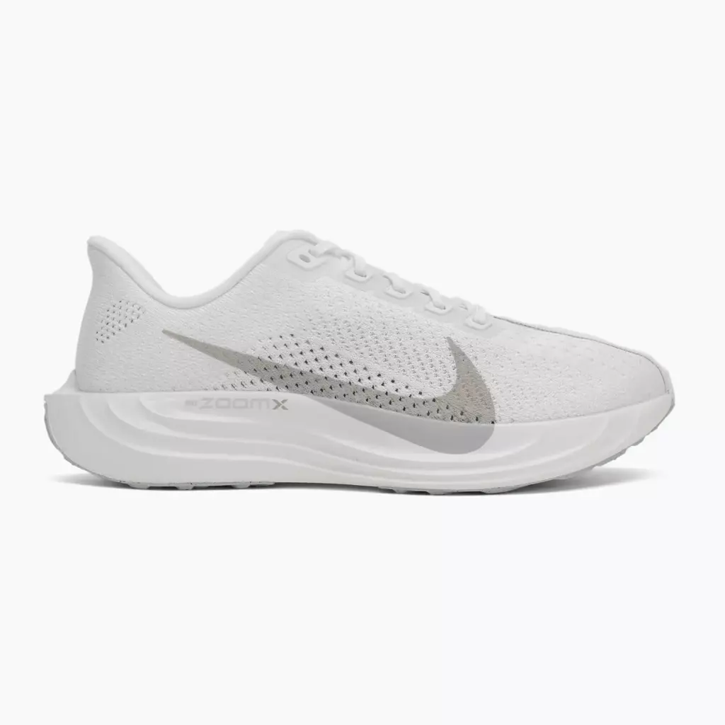 Кроссовки для бега Nike Pegasus Plus white/pure platinum/wolf grey