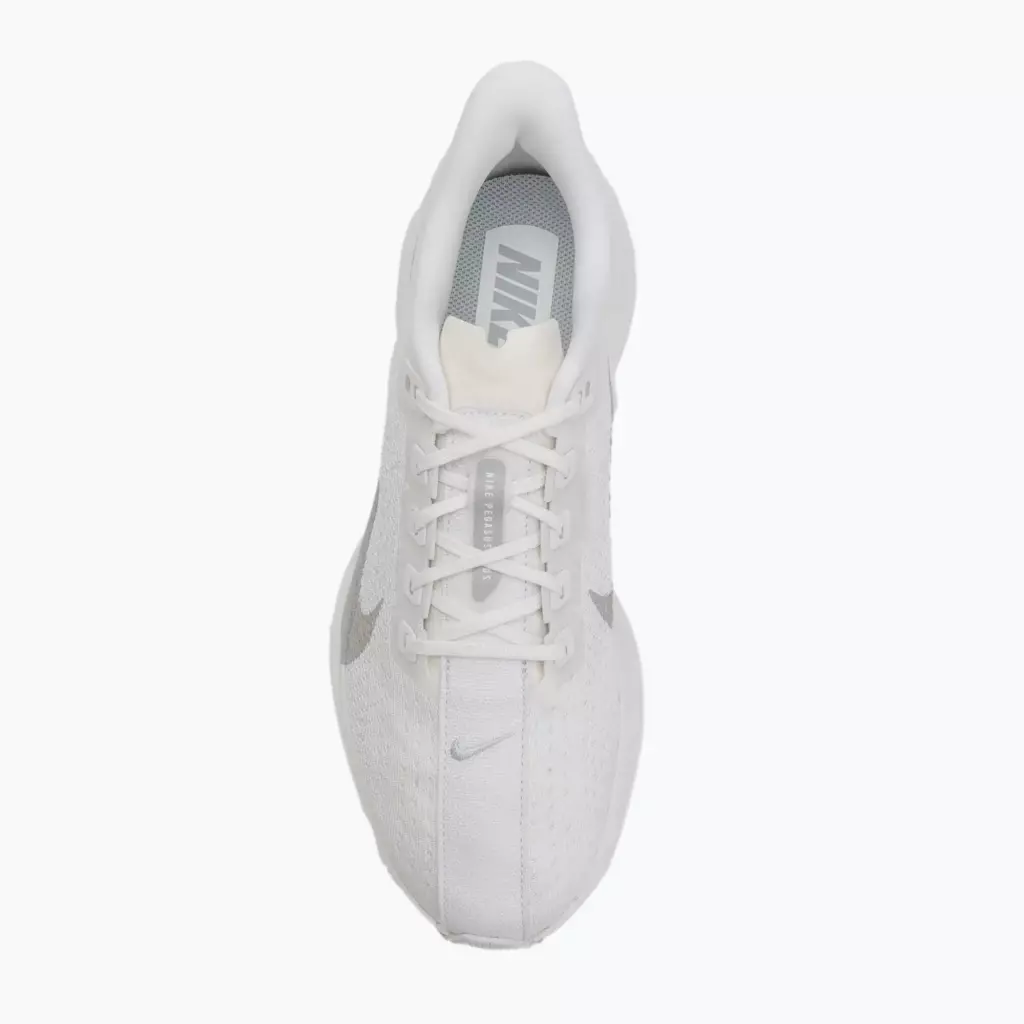 Кроссовки для бега Nike Pegasus Plus white/pure platinum/wolf grey