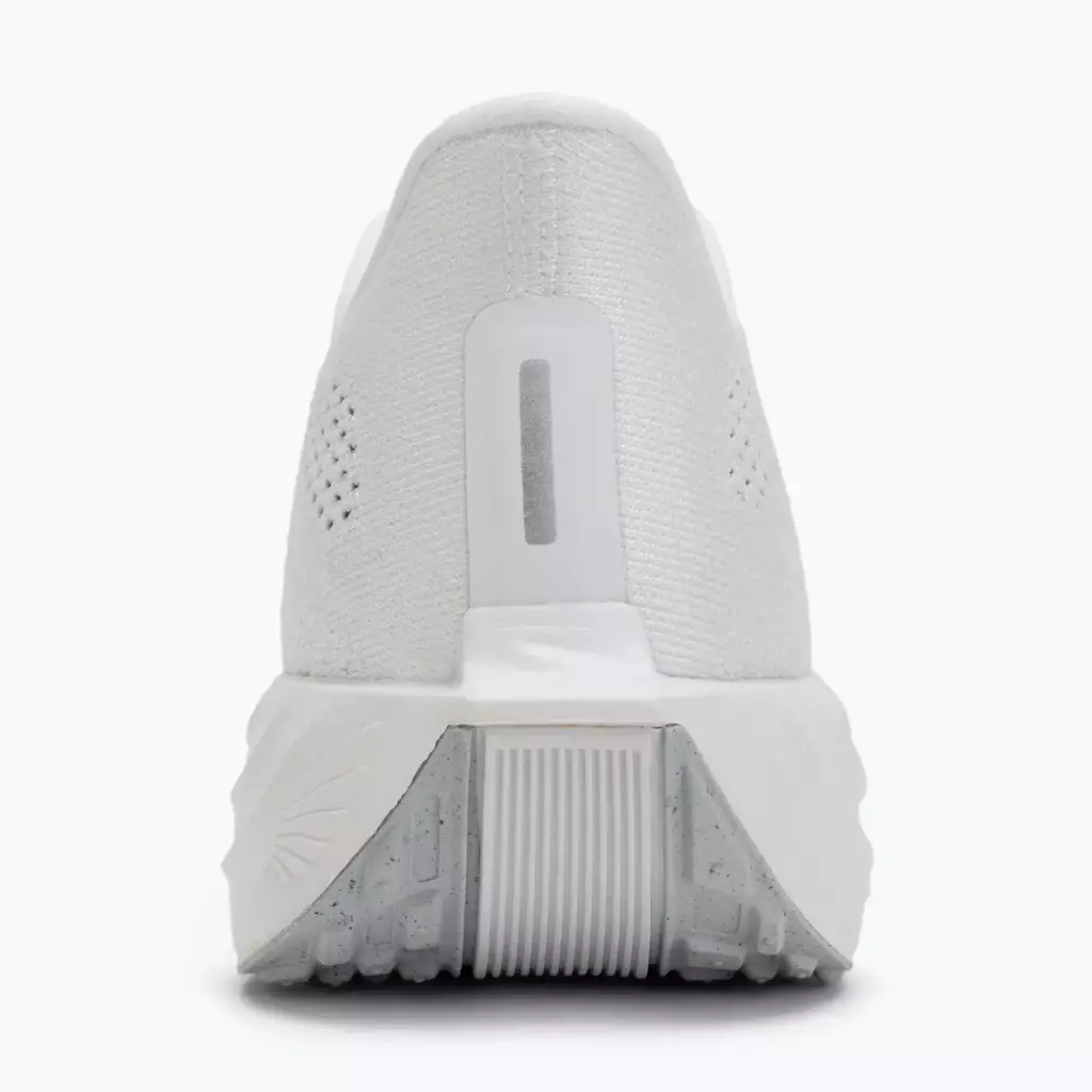 Кроссовки для бега Nike Pegasus Plus white/pure platinum/wolf grey