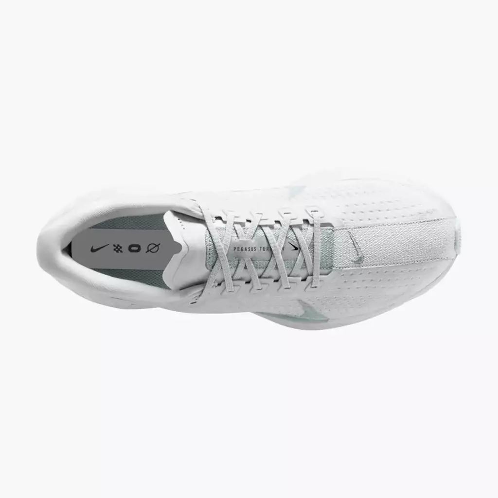 Кроссовки для бега Nike Pegasus Plus white/pure platinum/wolf grey
