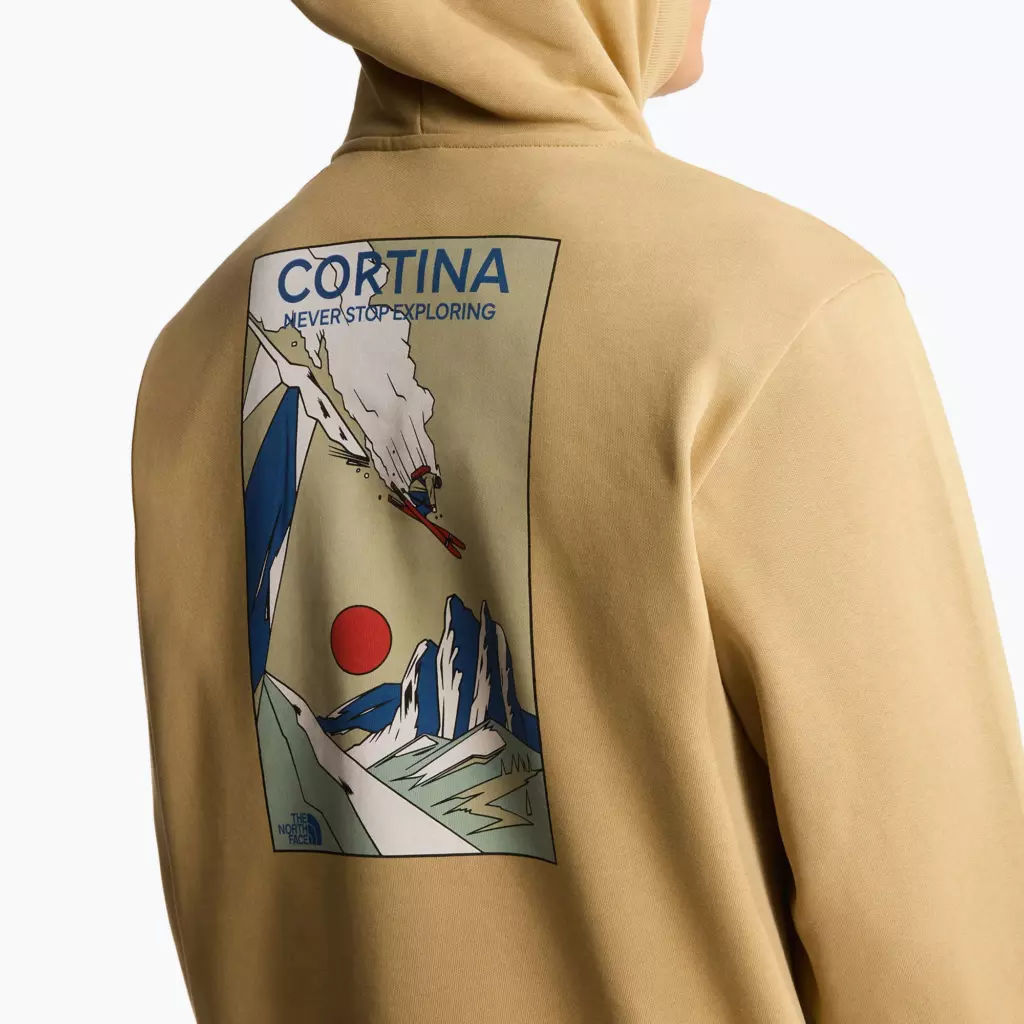 Худи The North Face Mountain Celebration Relaxed Hoodie khaki stone