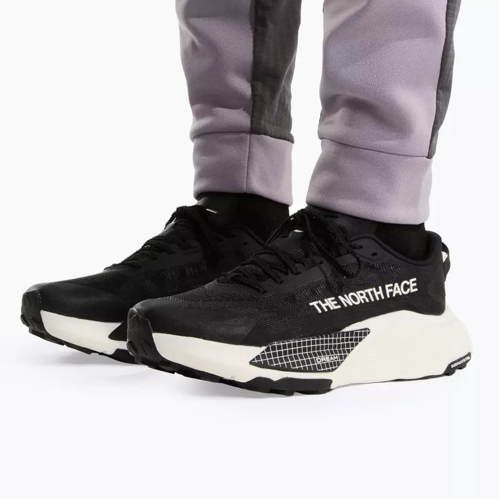 Кроссовки для бега The North Face Altamesa 500 V2 tnf black/white ash