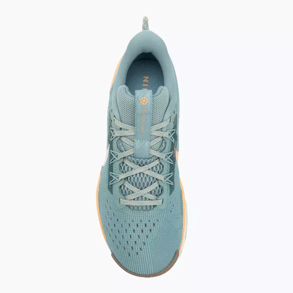 Женские Кроссовки для бега Nike Pegasus Trail 5 cannon/soft pearl/mink brown