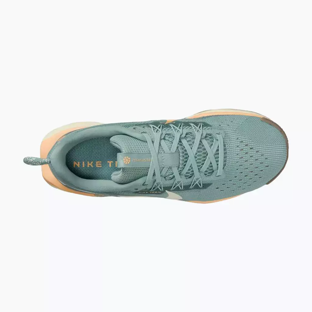 Женские Кроссовки для бега Nike Pegasus Trail 5 cannon/soft pearl/mink brown