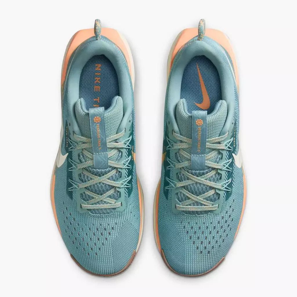 Женские Кроссовки для бега Nike Pegasus Trail 5 cannon/soft pearl/mink brown