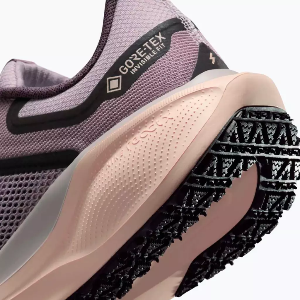 Женские Кроссовки для бега Nike Pegasus 41 GORE-TEX platinum violet/crimson tint/black