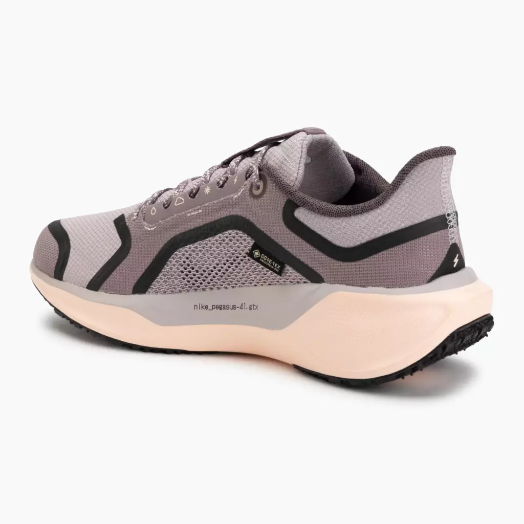 Женские Кроссовки для бега Nike Pegasus 41 GORE-TEX platinum violet/crimson tint/black