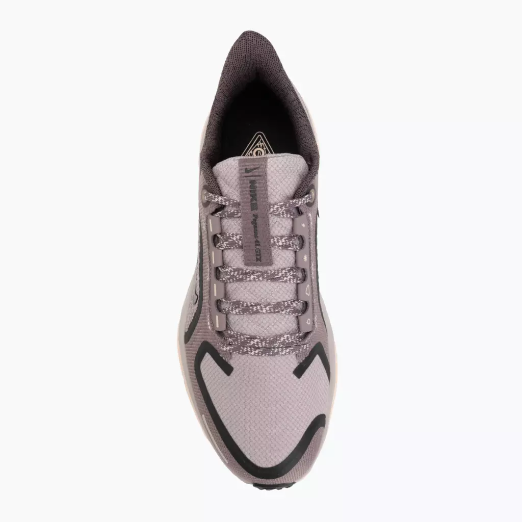 Женские Кроссовки для бега Nike Pegasus 41 GORE-TEX platinum violet/crimson tint/black